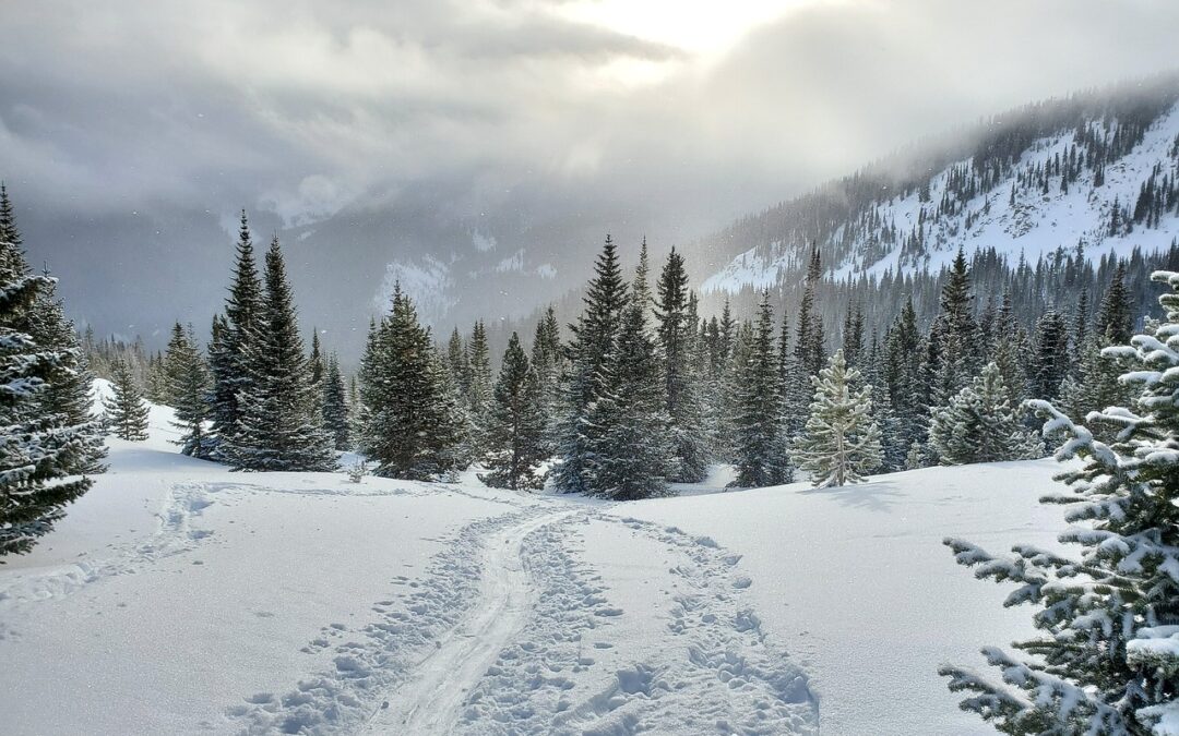 Snowmobile Rentals Frisco, Colorado / Zoom To The Fun: Your…