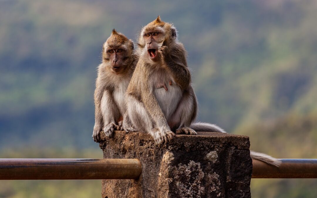 📈 Long-Tail Conversion Keywords &raquo; TL;DR – The Quick Scoop!…