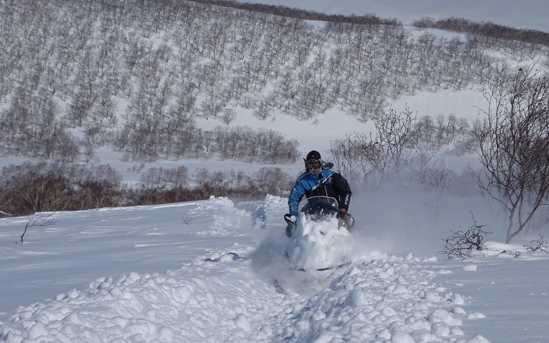 Colorado Snowmobile Rentals | ❄️ Quick Spin! Dreaming Of Zooming…