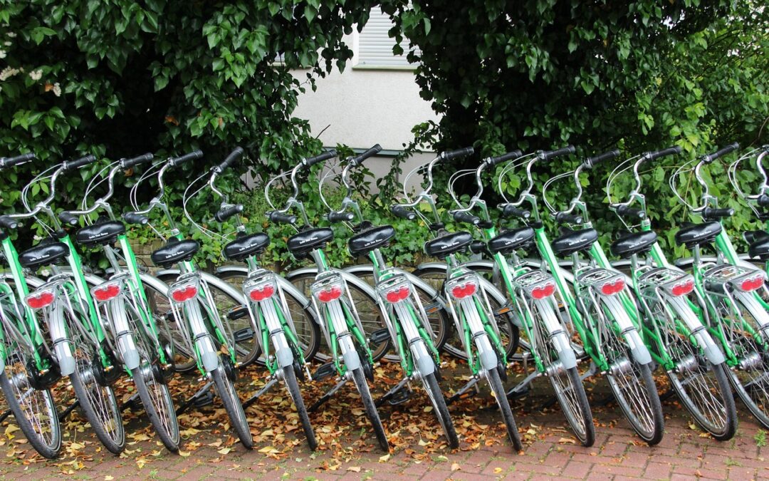 Dillon Snowmobile Rental ~ Get Ready For A Winter Wonderland…