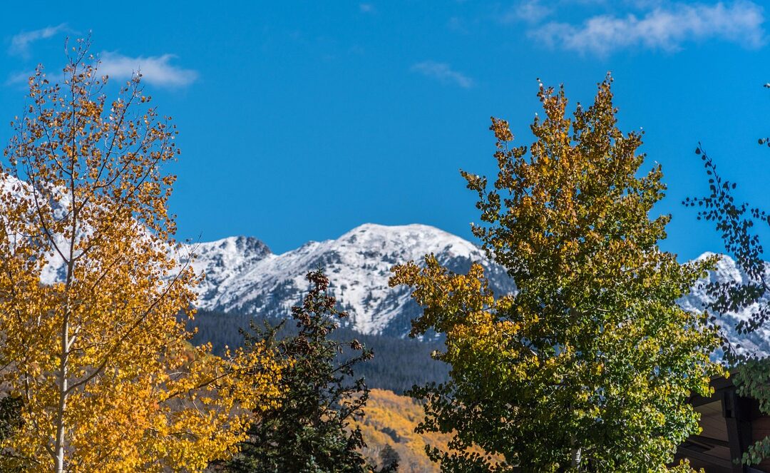 Vail Pass Snowmobile Tours, Colorado | Throttle Up Your Winter…