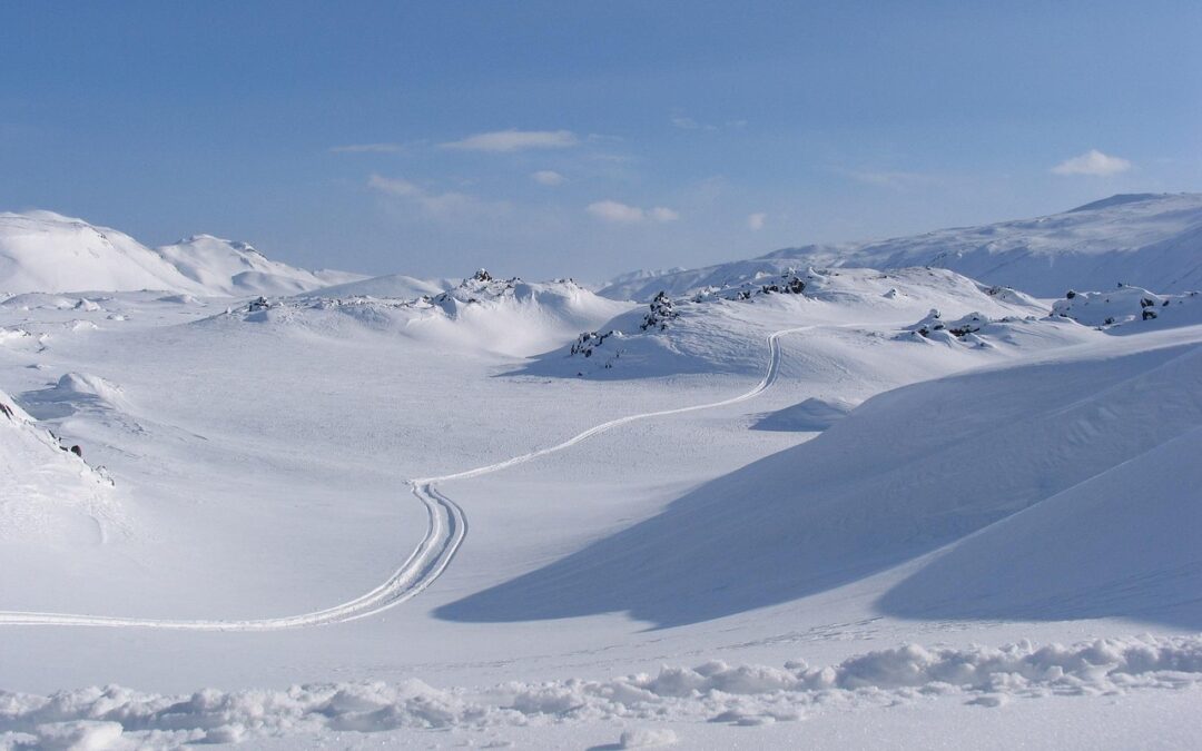 Vail Pass Snowmobile Tours, Colorado: Unleash Your Winter Wild Side:…