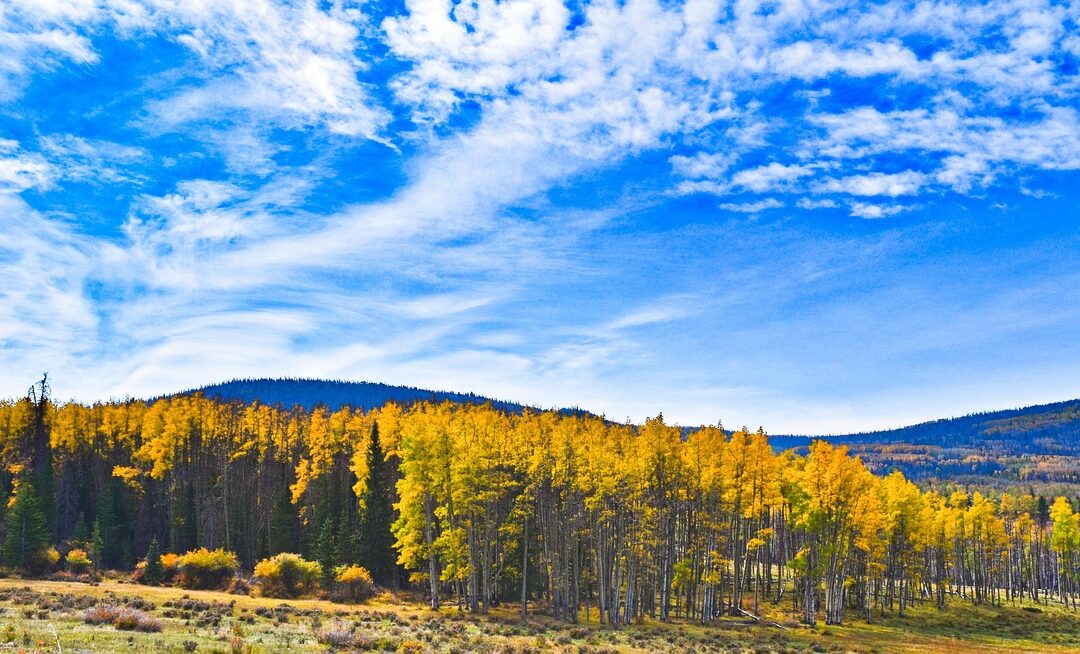 Vail Pass Snowmobile Tours, Colorado | Blast Off On Snow:…