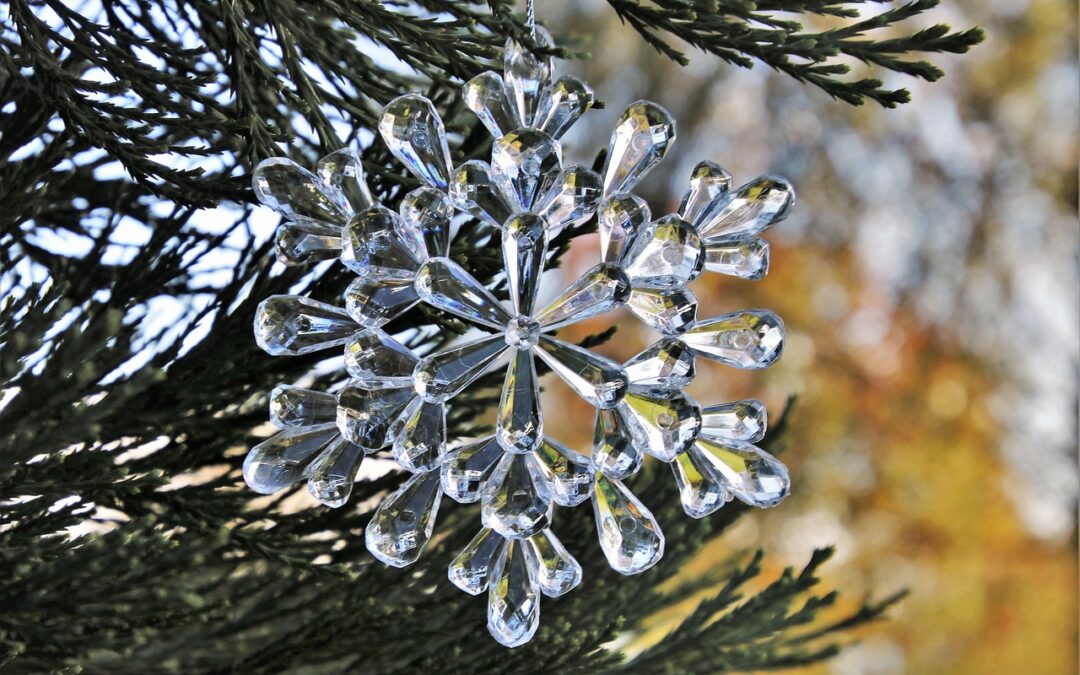 Affordable Snowmobile Rentals With Delivery Summit County, Colorado / Your…