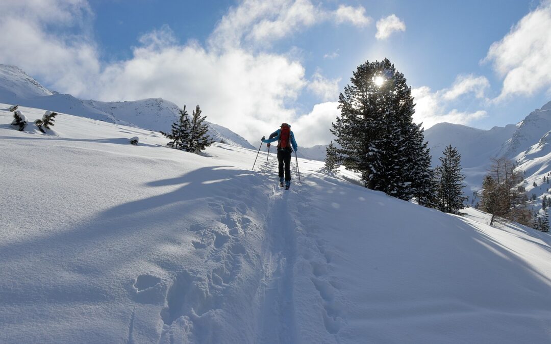 Backcountry Snowmobile Tours With Delivery Summit County, Colorado – Deep…