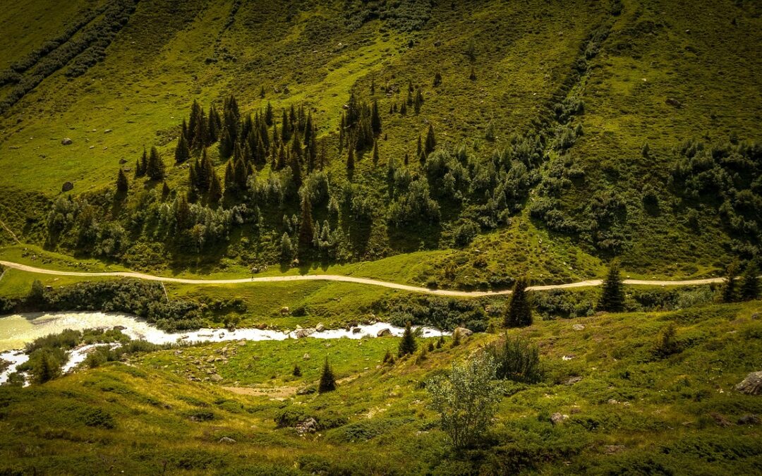 Best Snowmobile Trails Summit County / Unleash The Fun: Exploring…