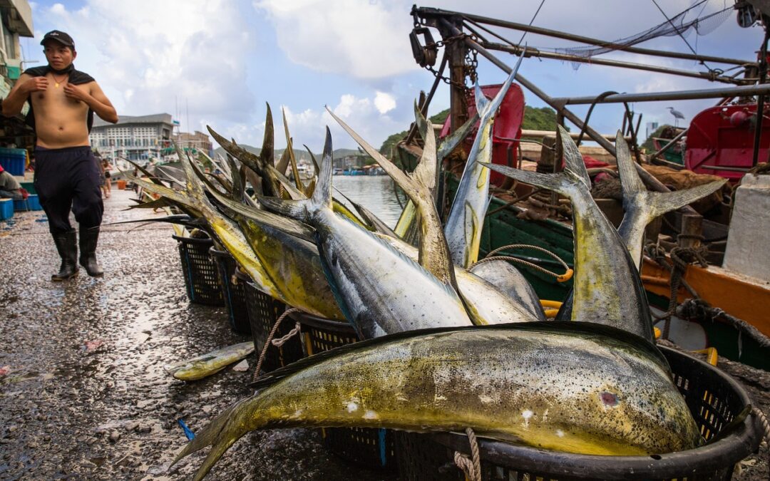 Best Snowmobile Trails Summit County | Zoom Through Winter Wonderland:…