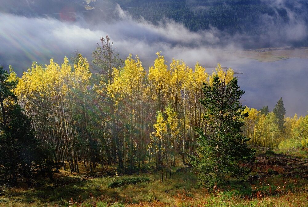 Group Snowmobile Rentals With Delivery Dillon, Colorado – Epic Group…