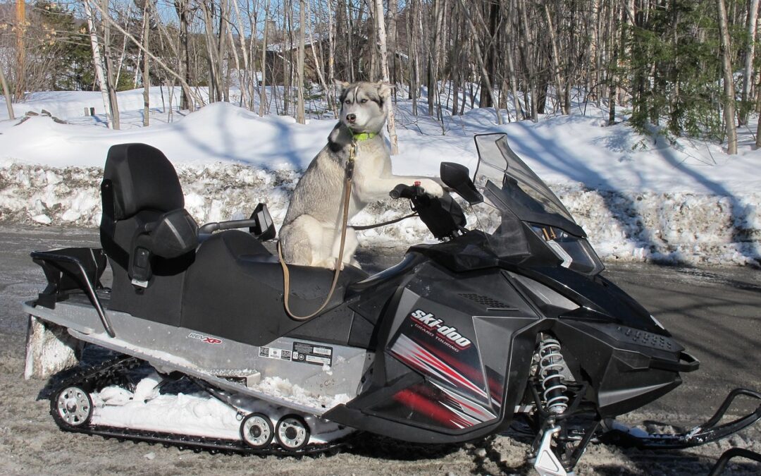Guided Snowmobile Tours Summit County ~ Summit County Snowmobiling: Your…