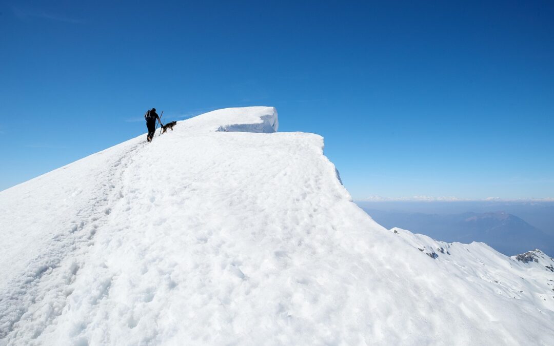 Guided Snowmobile Tours With Delivery Summit County, Colorado / Zoom…