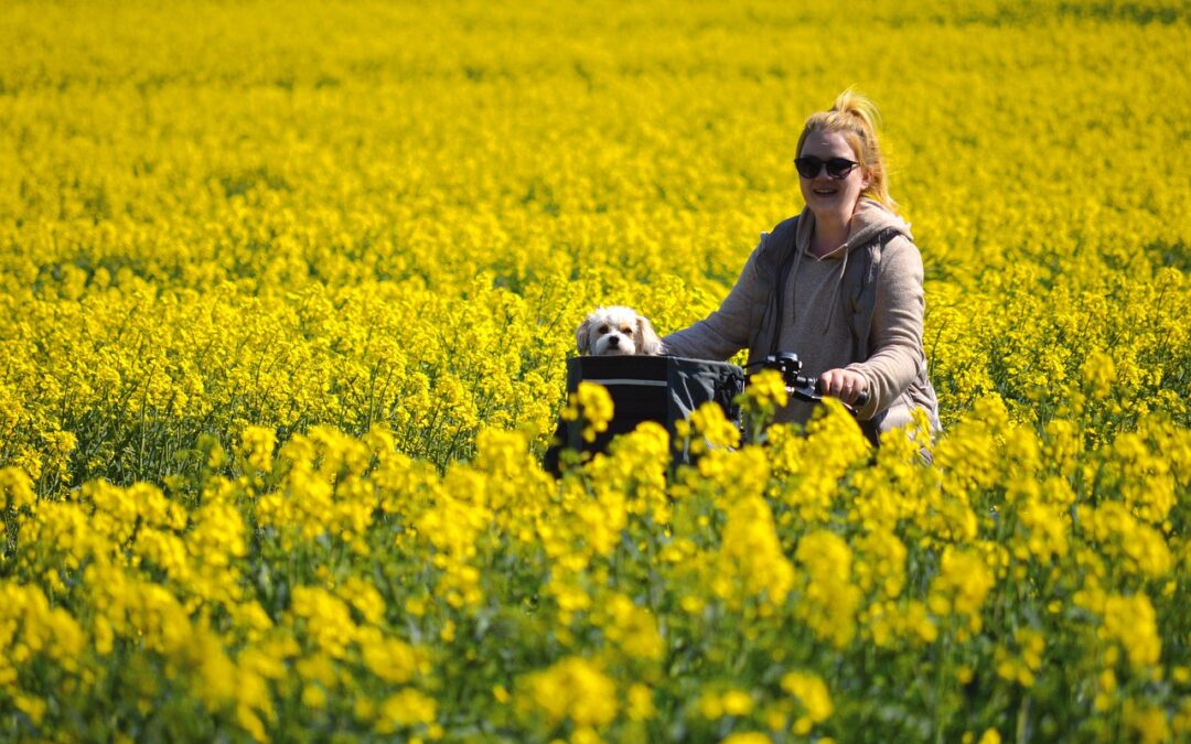 Guided Snowmobile Tours With Delivery Summit County, Colorado / Zooming…