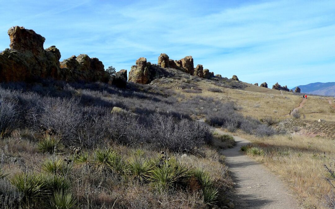 Snowmobile Adventure Colorado Rockies: ❄️ Rev Up Your Winter Fun…