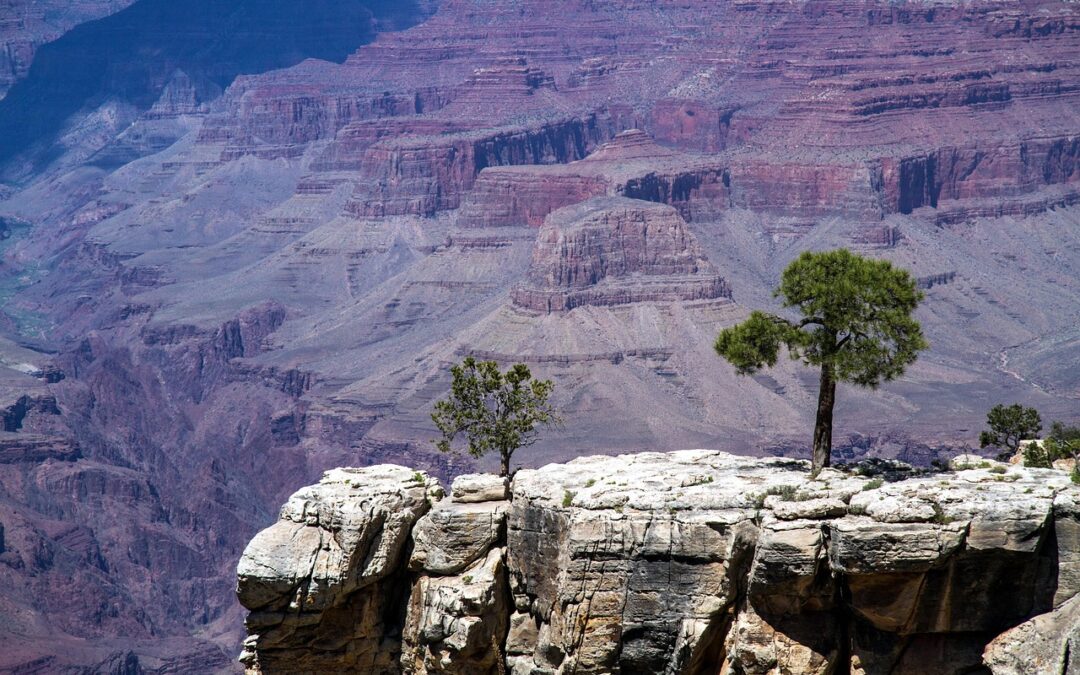 Snowmobile Delivery Blue River, Colorado / Quick Scoop! Imagine Living…