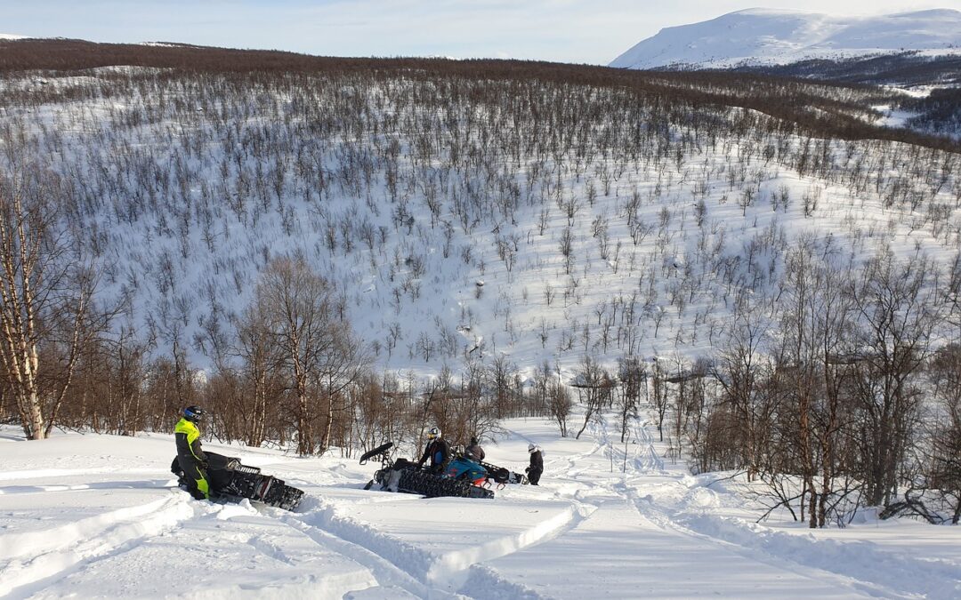 Snowmobile Delivery Blue River, Colorado: Your Sled, Delivered! Unlocking Winter…