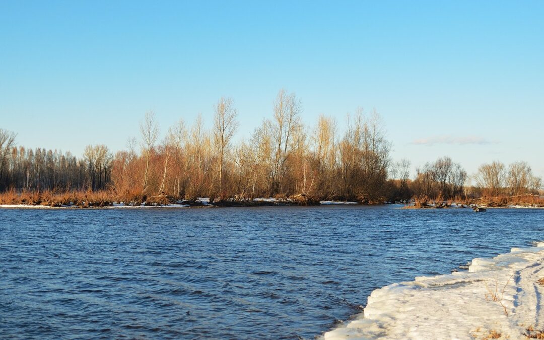 Snowmobile Delivery Blue River, Colorado ~ Ride Ready: How Snowmobile…