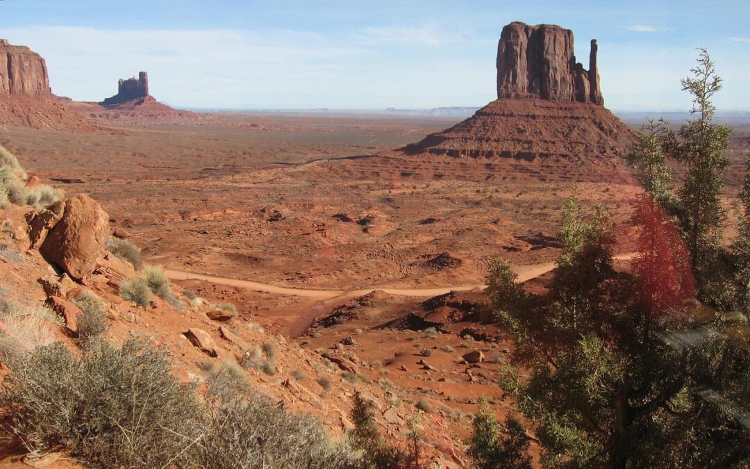 Snowmobile Delivery Frisco, Colorado &raquo; Delivering Winter Thrills: Your Snowmobile…