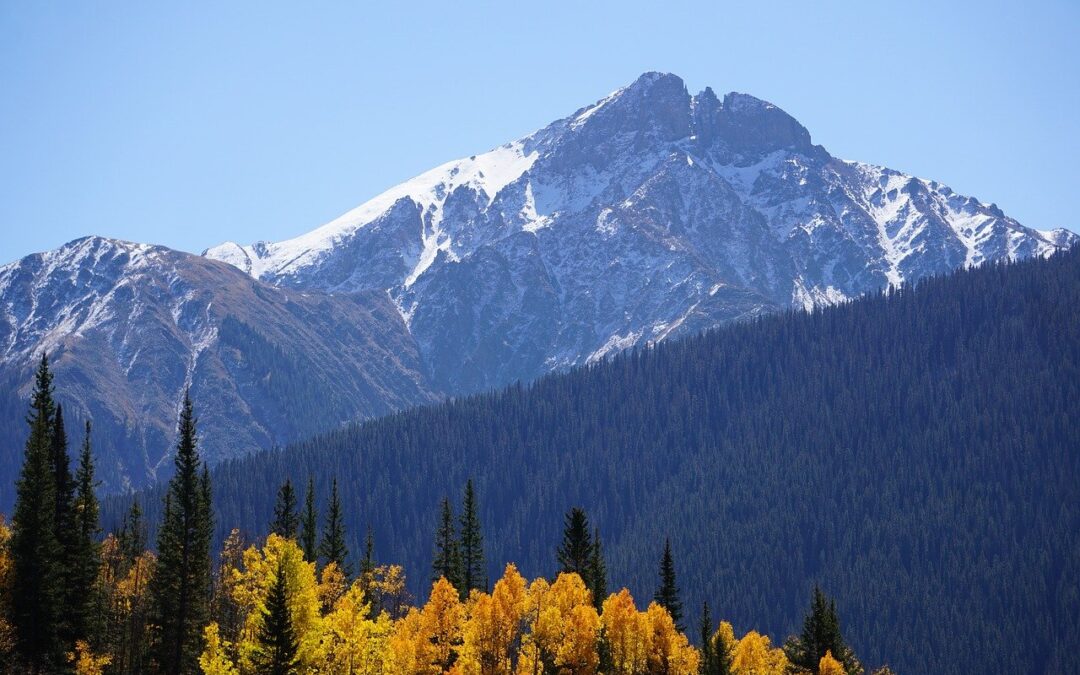 Snowmobile Delivery Frisco, Colorado / Riding The White Waves: How…