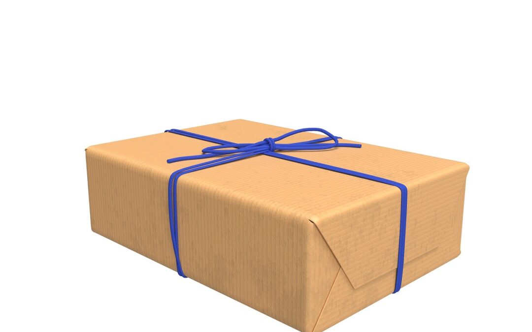 Snowmobile Delivery Keystone, Colorado ~ Unlocking Winter Fun: The Secret…