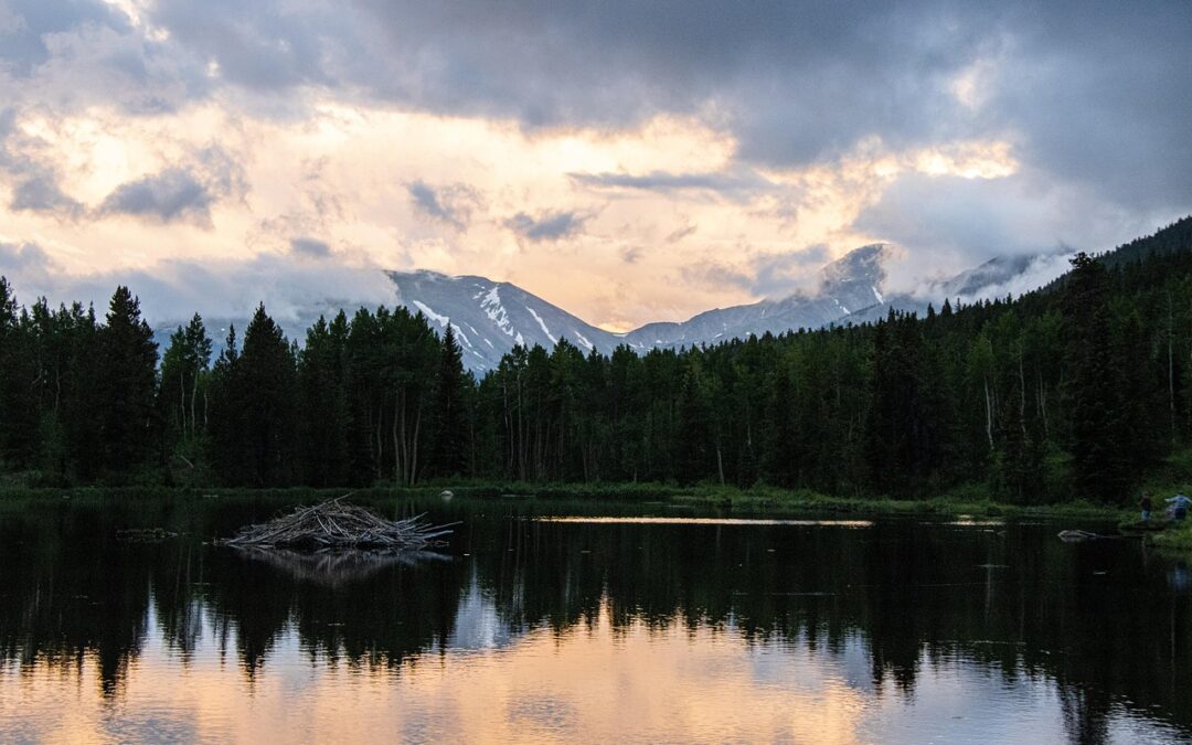 Snowmobile Delivery Keystone, Colorado: Zooming Through Snow: How Keystone Delivers…