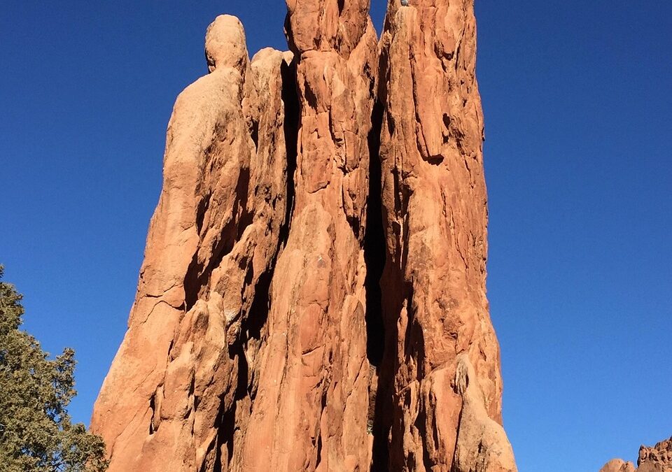 Snowmobile Delivery Montezuma, Colorado: Quick Scoop Dreaming Of An Amazing…