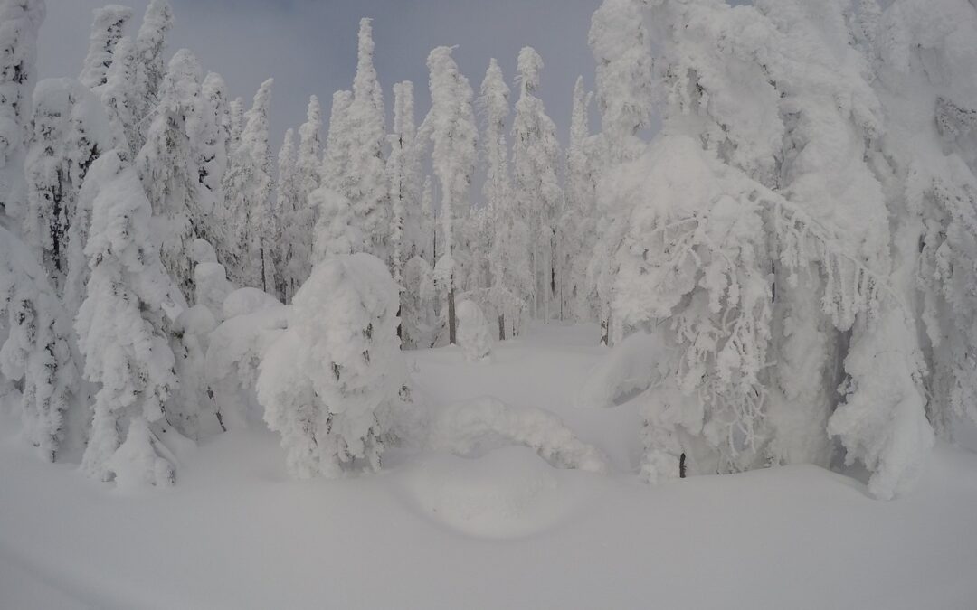 Snowmobile Delivery Silverthorne, Colorado &raquo; Snowmobile Fun Delivered Right To…