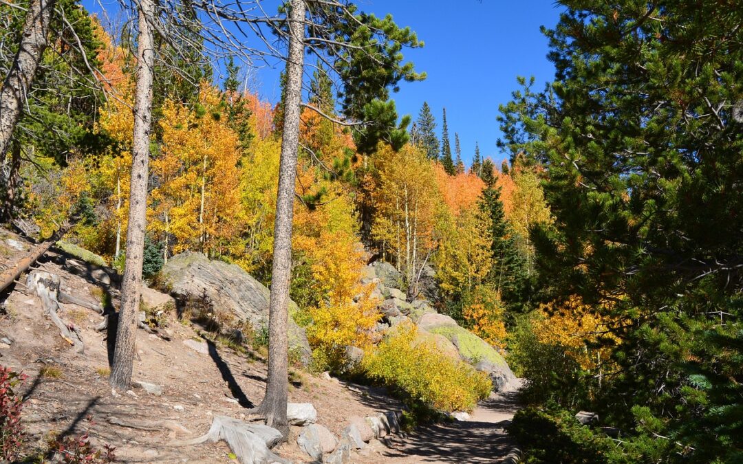 Snowmobile Delivery Silverthorne, Colorado / Your Snowmobile Adventure In Silverthorne,…