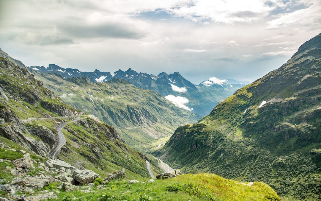 Snowmobile Delivery Summit County / TL;DR – Quick Ride Info!…