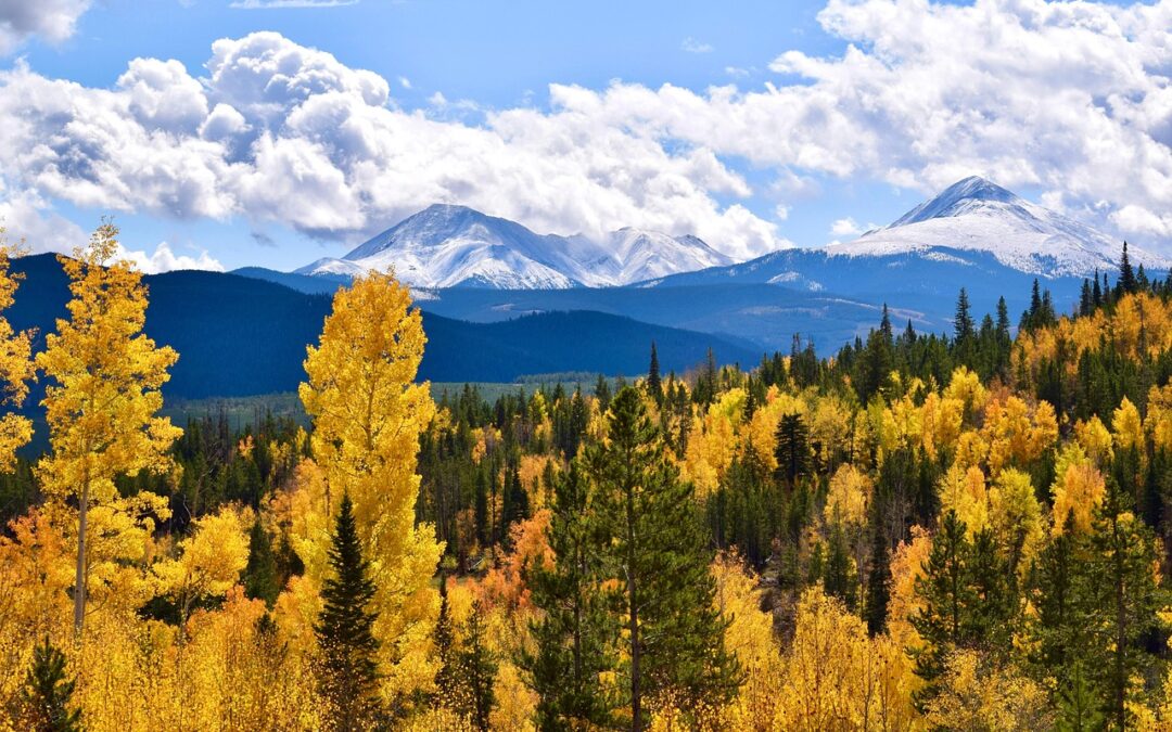 Snowmobile Delivery Vail Pass, Colorado | Your Epic Ride, Delivered:…