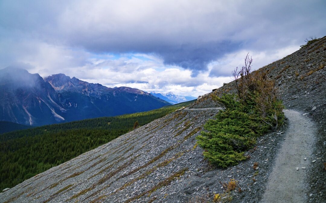 Snowmobile Rental Delivery Anywhere In Summit County, Colorado / Unleash…