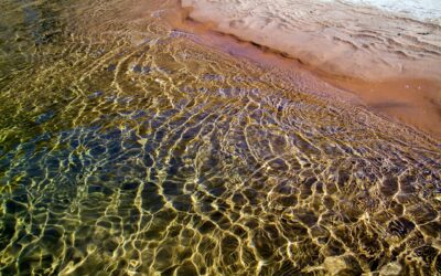 Snowmobile Rental With Gear Included Colorado &raquo; Colorado Snowmobiling Made…