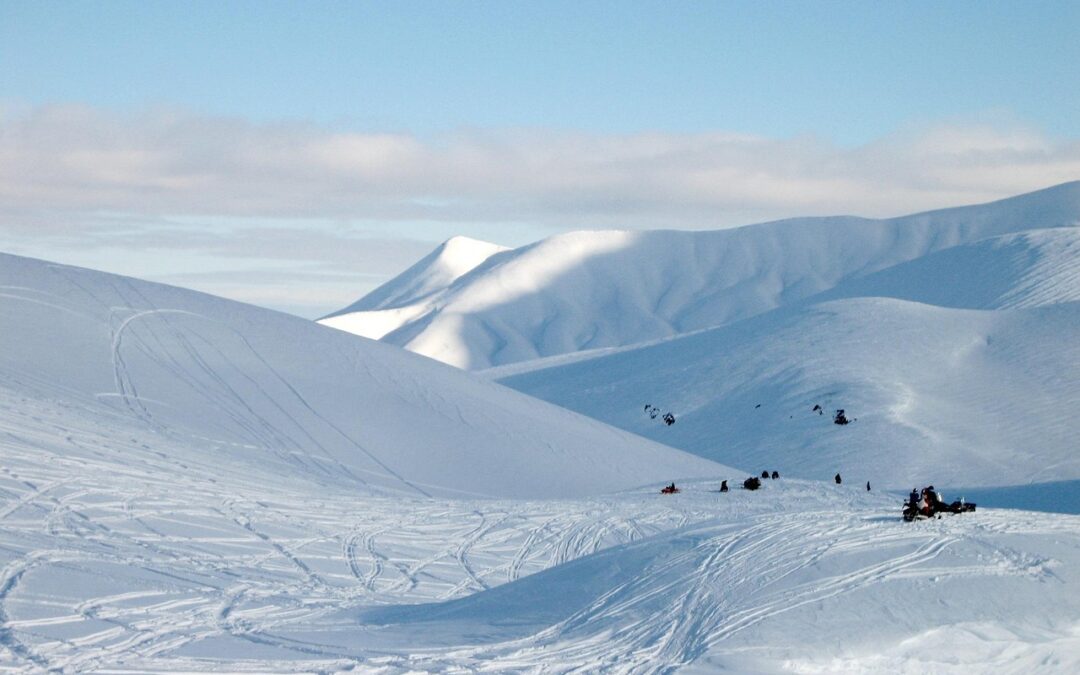 Snowmobile Rental – Ready For A Wild Ride? Your Colorado…