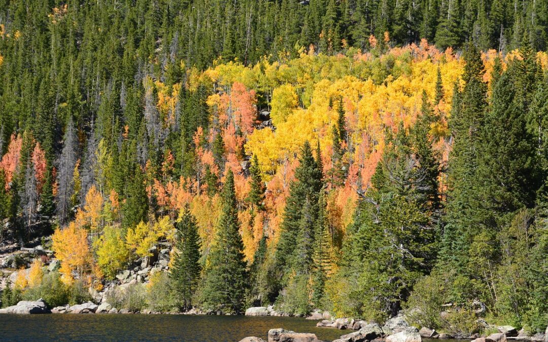 Snowmobile Rentals Colorado &raquo; Quick Spin – Your Winter Ride…