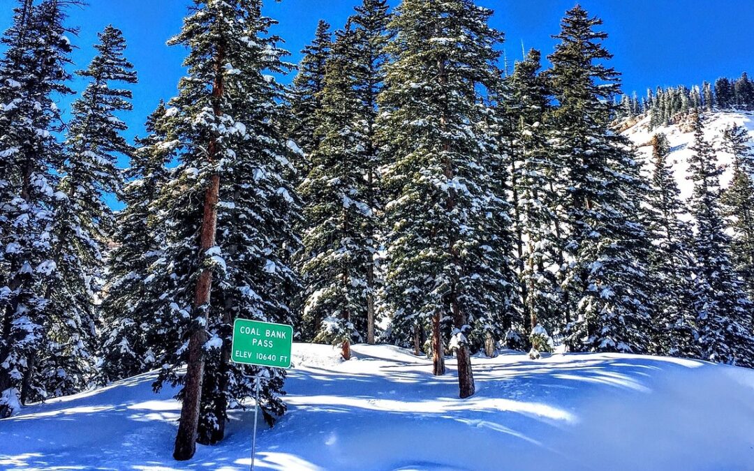 Snowmobile Rentals Colorado / Unleash Your Inner Explorer: Snowmobile Adventures…