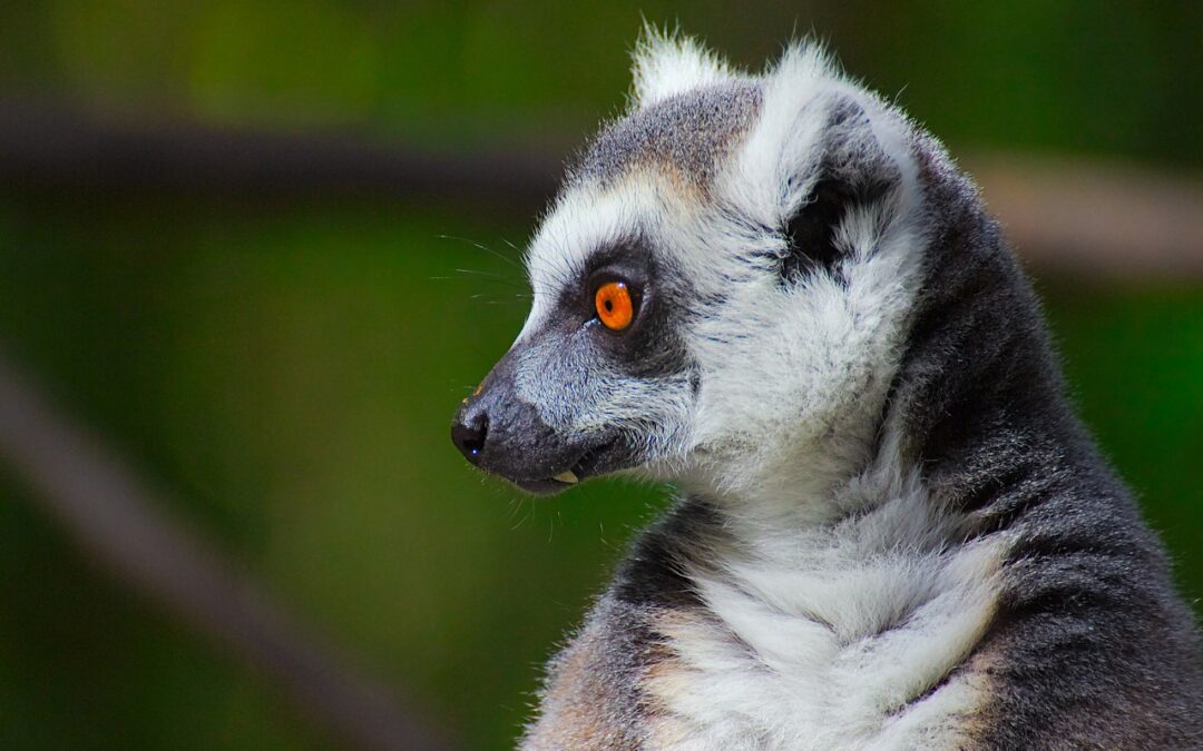 🚚 Delivery-Focused Keywords / Quick Scoop! Imagine Planning A Colorado…