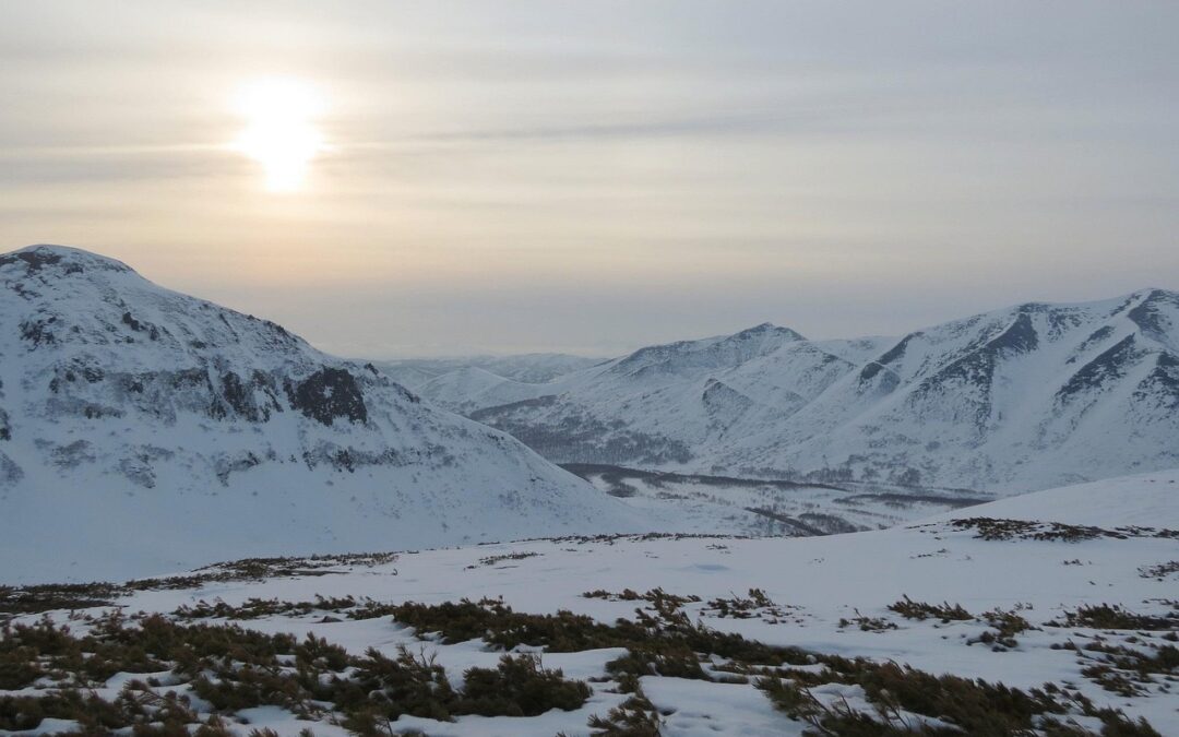 🚚 Delivery-Focused Keywords / Quick Scoop! Want To Go Sledding…