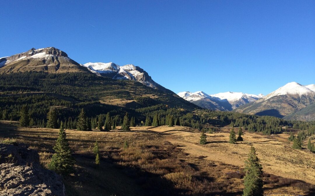 🛷 Service + Delivery Keywords: Your Snowmobile’s Best Friend: How…