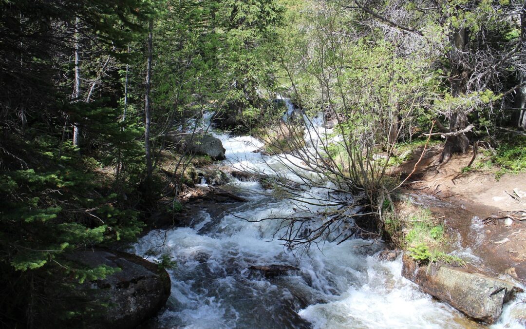 🛷 Service + Delivery Keywords: The Short Version This Article…