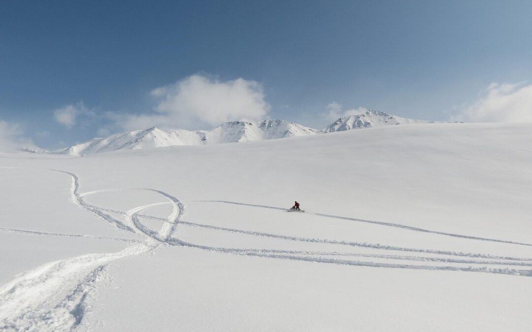 Snowmobile Rental Delivery Summit County, Colorado – Your Snowmobile Adventure,…
