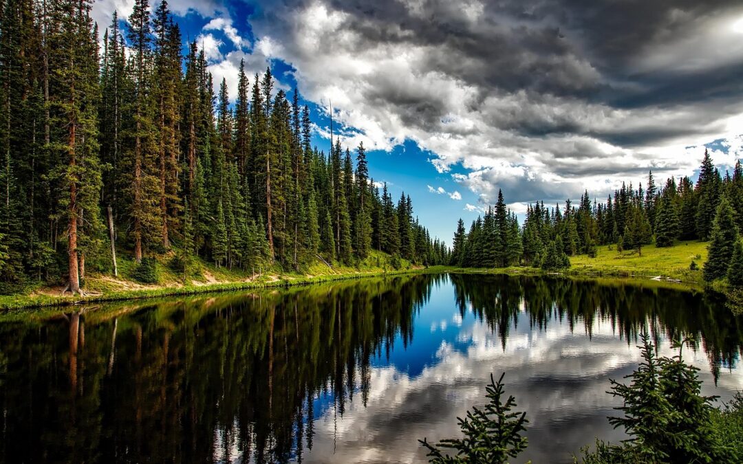 Colorado Snowmobile Rental Packages: Your Guide To Awesome Colorado Snowmobile…