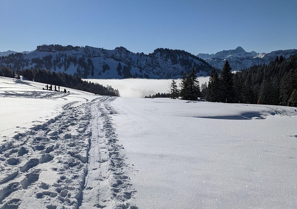 Backcountry Snowmobile Tours Breckenridge ~ Quick Scoop! Want To Experience…