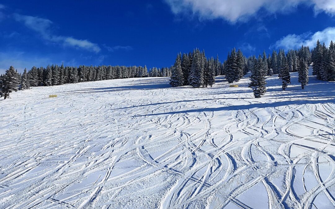 Snowmobile Delivery Silverthorne, Colorado / No Trailer? No Problem! Snowmobile…